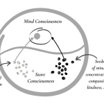 51 mental formations